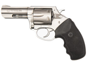 CHARTER ARMS PITBULL 380ACP 3" STS
