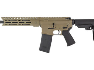 DBF DB15 300BLK 10" 30RD FDE BRACE