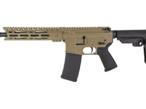 DBF DB15 556 10" MLOK 30RD FDE BRACE