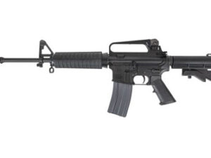 H&R GOVERNMENT 14.7" PW 556 30RD BLK