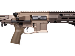 MAXIM PDX SBR 300BLK 5.5" 20RD FDE