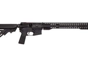 RADICAL 300BLK 16" SHR HG 30RD BLK