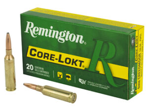 REM 6MM 100GR CM CL 20/200