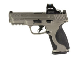 S&W M&P M2.0 9MM 4.25" 17RD HOLO GRY
