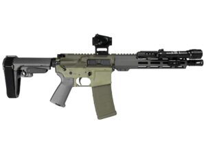 Shark Coast Bugbear AR Pistol Bundle 5.56mm 30rd Magazine 10.5'' Threaded Barrel Vortex Crossfire Red Dot Streamlight ProTac SBA3 Brace