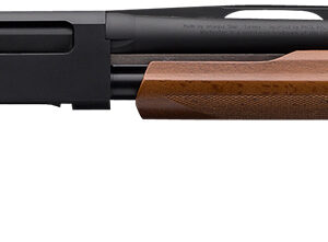 Winchester Repeating Arms 512367690 SXP Field Youth 20 Gauge 24" 5+1 3" Matte Black Rec/Barrel Satin Walnut Stock Right Hand Includes 3 Invector-Plus Chokes