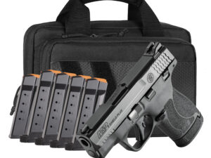SMITH AND WESSON SHIELD PLUS 9MM 3.1" 13+1 PKG